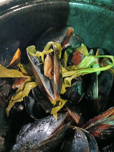 Св. Св. Константин И ЕленаПриморски, street 47 18, 9006 Св.св. Константин и Елена