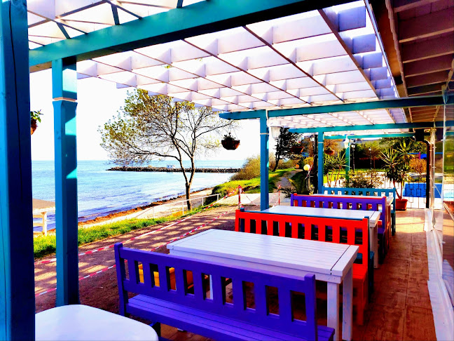 Каравана Чайка