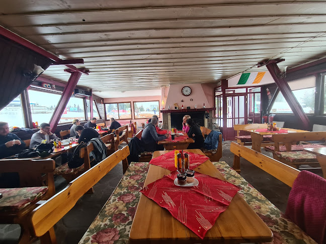 Чайна Мургавец