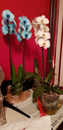 Кафе Сладкарница - Гастрономия и хотелиерство