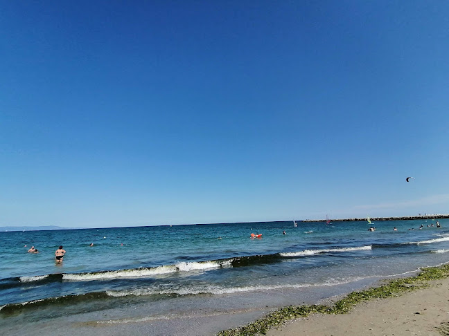 Comentarii opinii despre Ресторант Омар