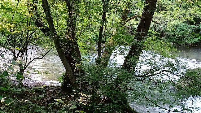 JW3J+QF, 4363 Васил Левски