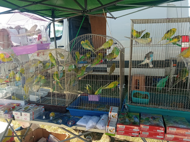 Битак - Кубрат