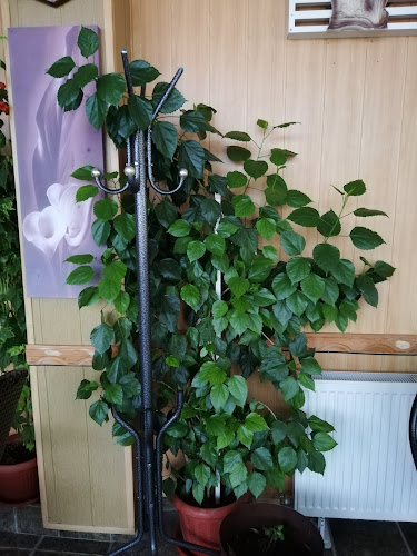 CAFE "KATALPA" - Гастрономия и хотелиерство