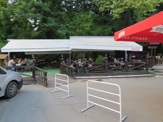 Central - Сулица