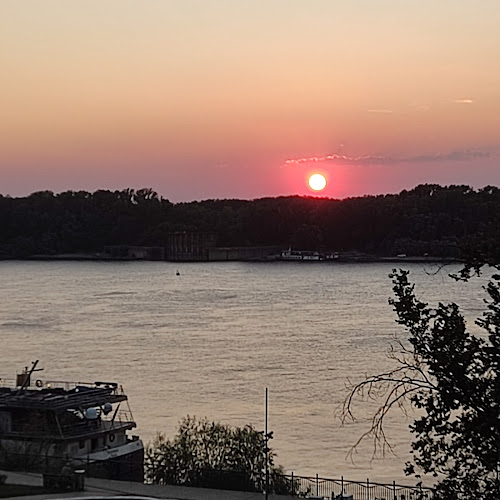 Ресторант "Чинчила" - Гастрономия и хотелиерство