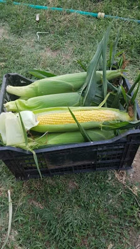 Opinii despre Царевица При Боби în Сандански - Гастрономия и хотелиерство