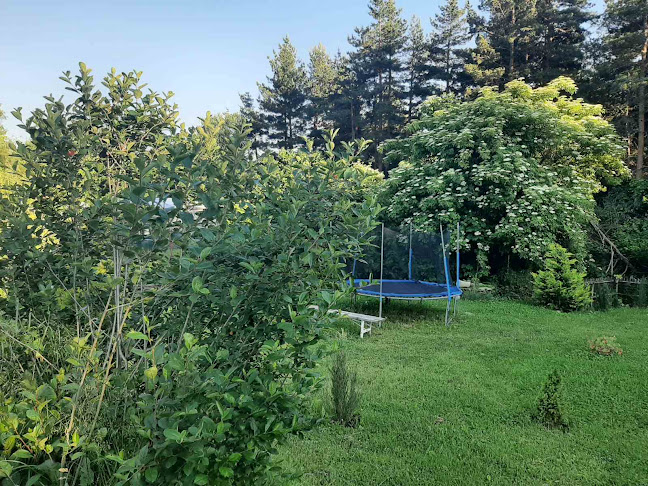 Comentarii opinii despre Ресторант „Бай Илия“