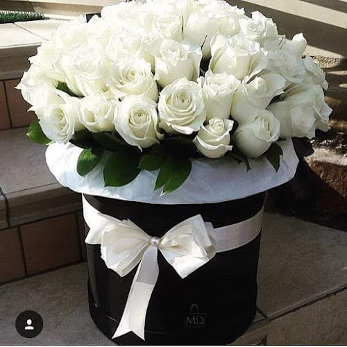 ж.к. Петко Р. Славейков, ж.к. Славейков 951, 8010 Бургас