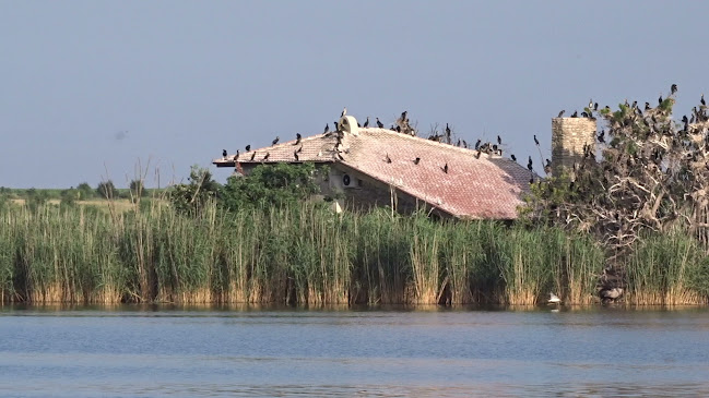 Местност Стари лозя Дуранкулашко езеро, 9670 Дуранкулак
