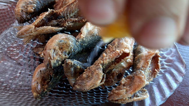 Трета буна - Варна