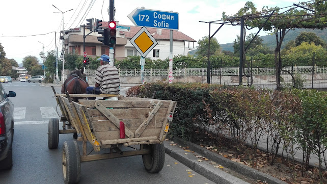 Кафе-сладкарница BOBIKAT - Гастрономия и хотелиерство
