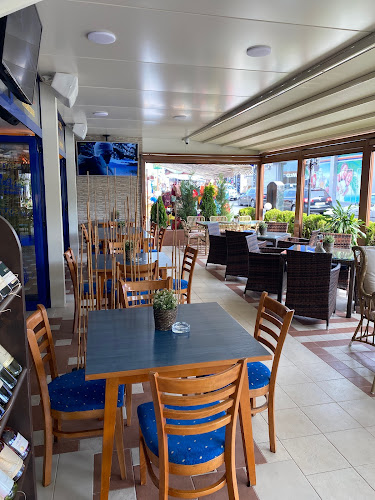 Comentarii opinii despre Las Palmas Bar and Dinner