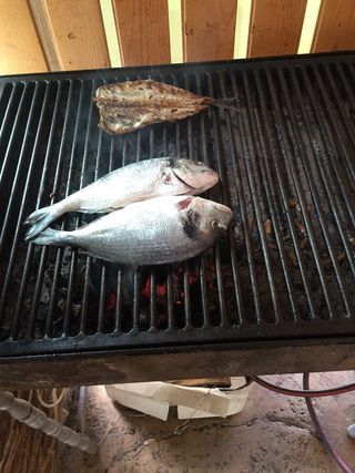 Comentarii opinii despre Кафе-Ресторант Мело