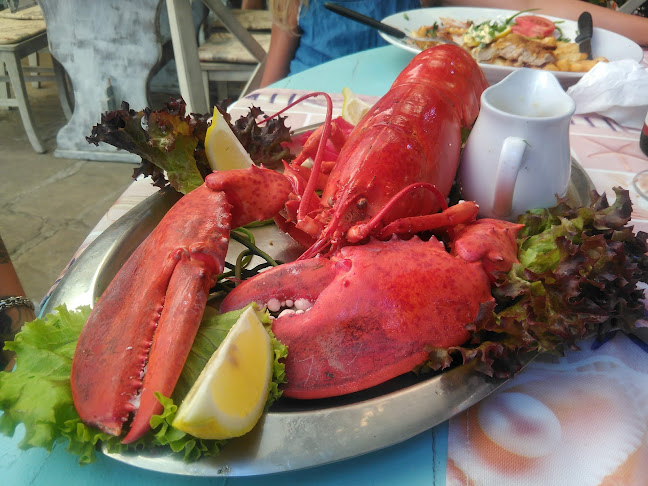 Стария Моряк Old Sailor