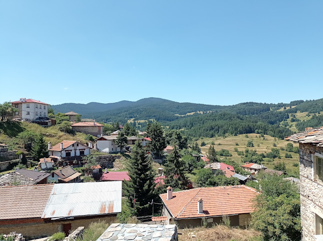 Щайнер - Лилково