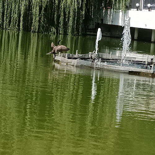 Комплекс „Лебед“