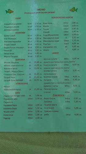 я-р, 4294 Брягово