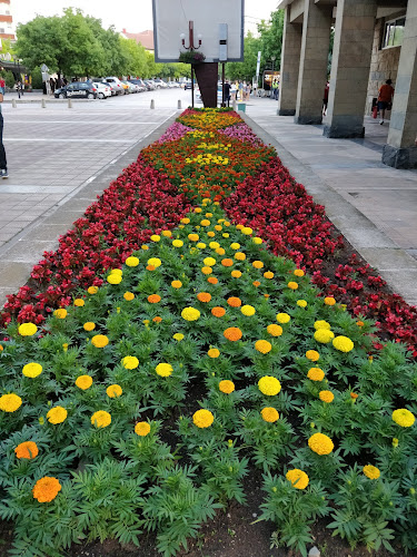 Opinii despre StarsBar în Монтана - Гастрономия и хотелиерство