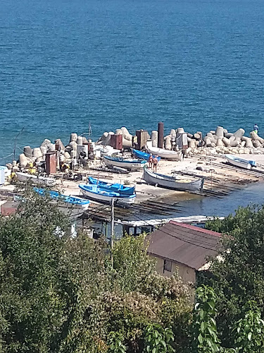 Резиденция Бонев