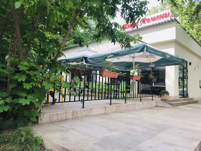 Comentarii opinii despre Пицария Лъчони - Света Троица