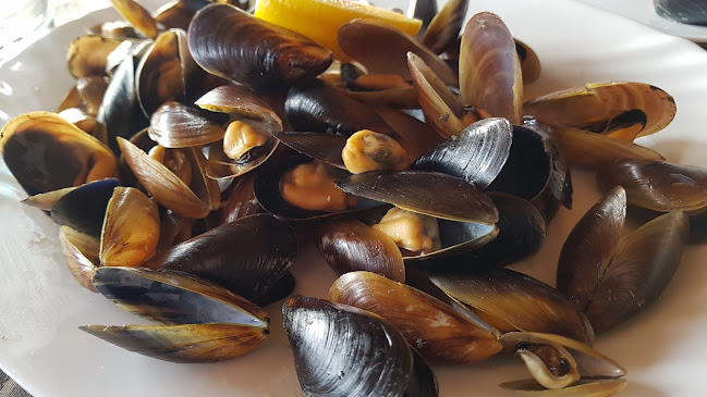 Приморски, 9002 Варна