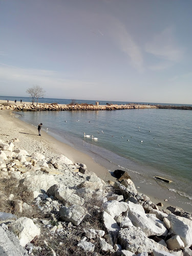 Opinii despre Кръчмата în Варна - Гастрономия и хотелиерство