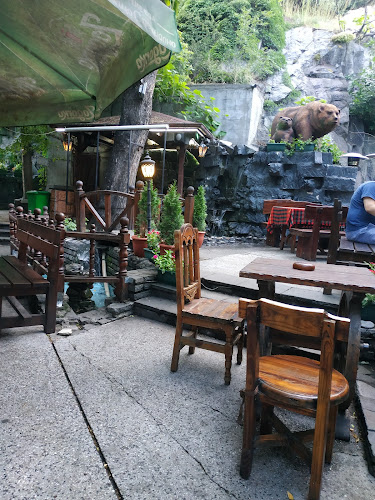 Comentarii opinii despre Даяна-1