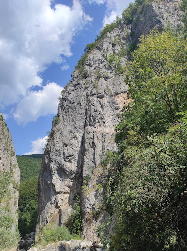 Републикански път II-63 4, 2460 Трън