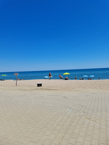 Кокос /Coconut - Бургас