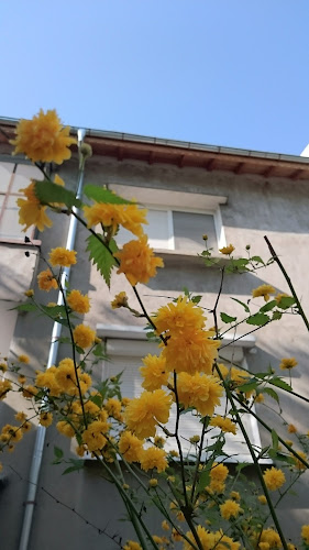 Opinii despre Пазар Гагарин în Пловдив - Гастрономия и хотелиерство