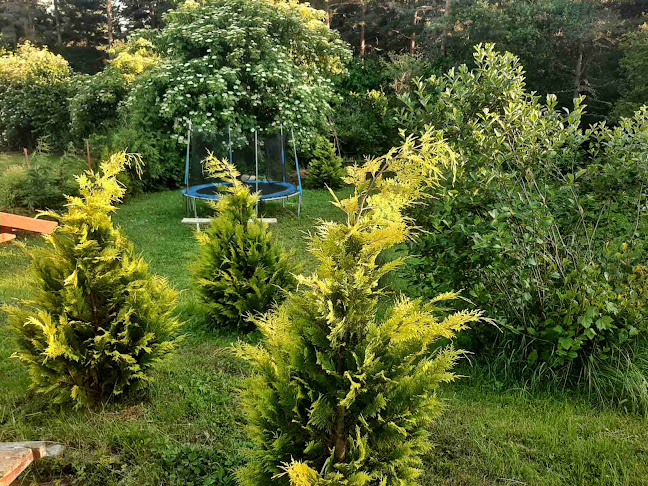 Comentarii opinii despre Ресторант „Бай Илия“