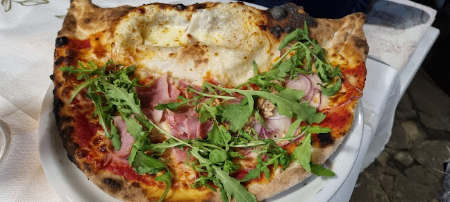 Comentarii opinii despre Свищовъ