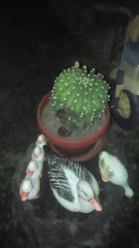 Бар „Наздраве“ - Гастрономия и хотелиерство