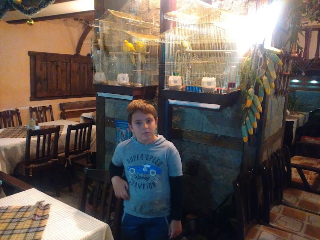 Comentarii opinii despre Добрила