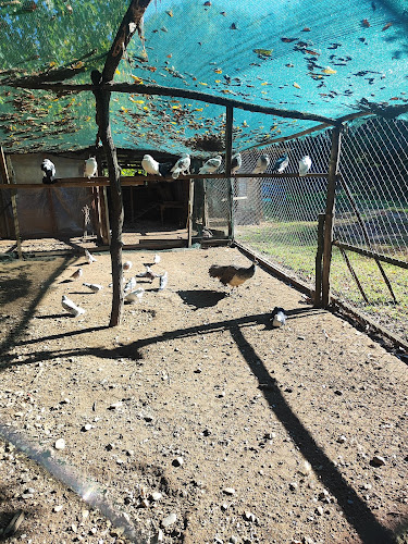 Ресторант „Прохлада“