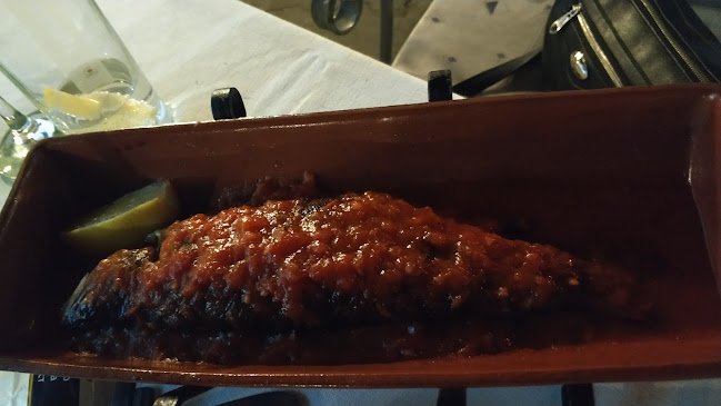 Свищовъ - Свищов