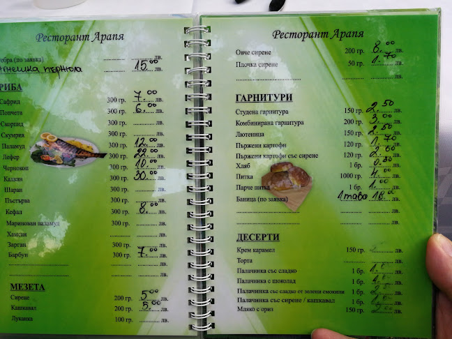 Camping Arapya, 8260