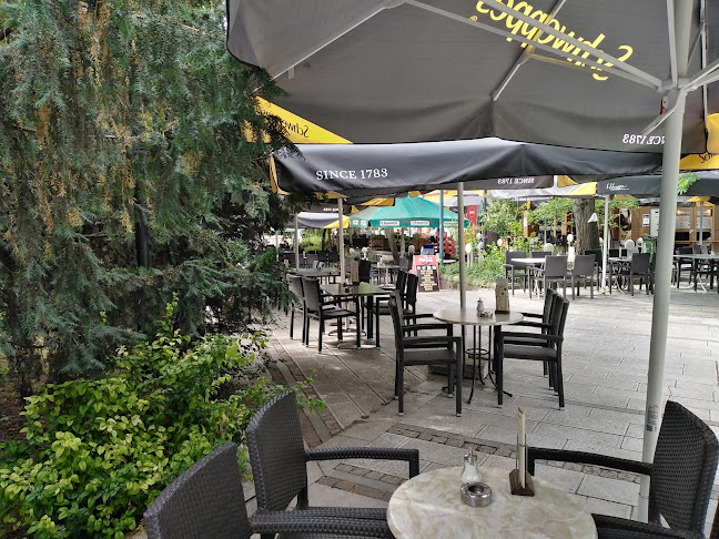 Opinii despre СНЕКБАР БОХЕМИ în Силистра - Гастрономия и хотелиерство