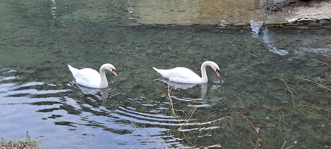 Чайка ресторант - Гастрономия и хотелиерство