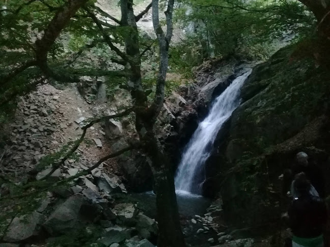 Opinii despre Кафе Сладкарница în Лъжница - Гастрономия и хотелиерство