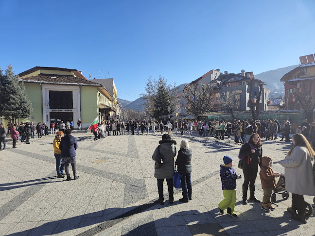 Старата Върба - Девин