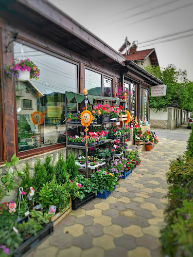 ул. „Търговска“ 151, 2040 Долна баня