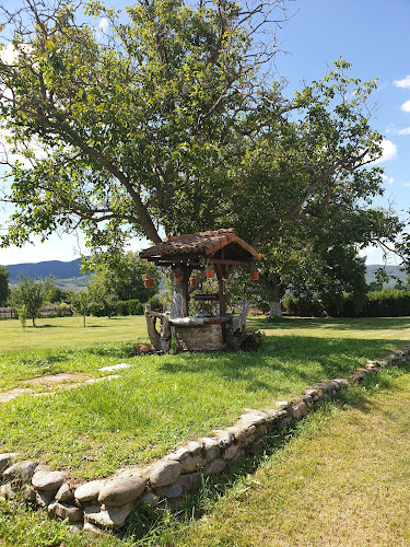 6174 Николаево