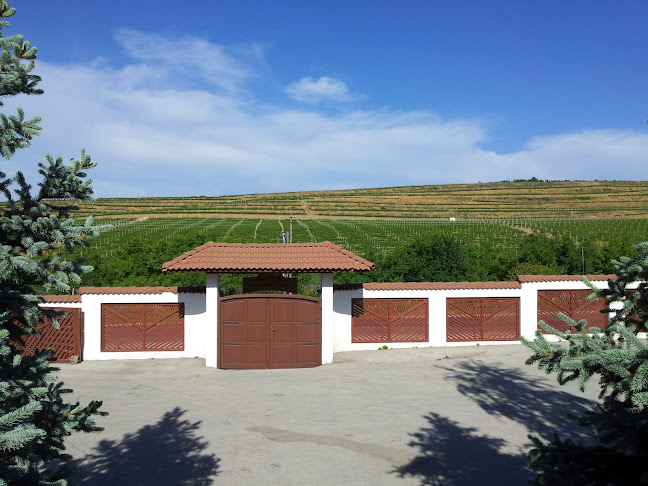 Comentarii opinii despre ресторант "ЧЕВЕРМЕТО" Силистра