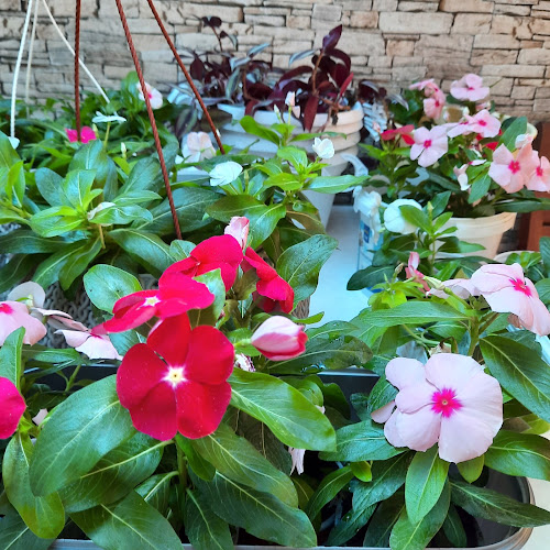 Рибен ресторант„Синьото” - Пловдив