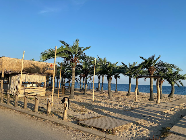 Мазу - Варна