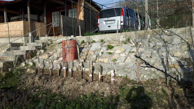 Comentarii opinii despre Резиденция Бонев