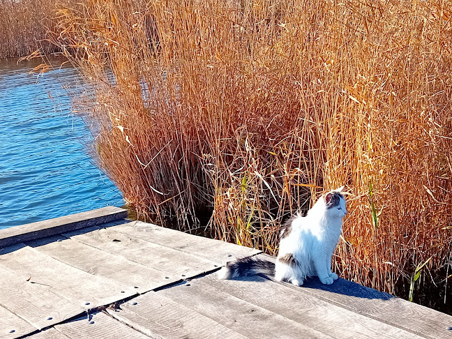 Ресторант Кибела - Дуранкулак