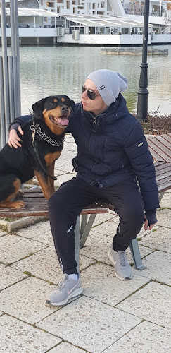 Свети Георги Градски Парк, Комплекс Лебед, 9300 Добрич